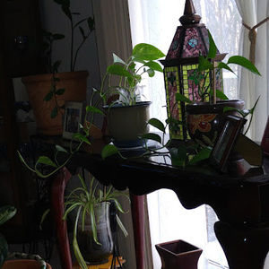 Meet your Posher, Carrie